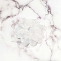 White Floral Organza Hair Scrunchy with Subtle Sparkles